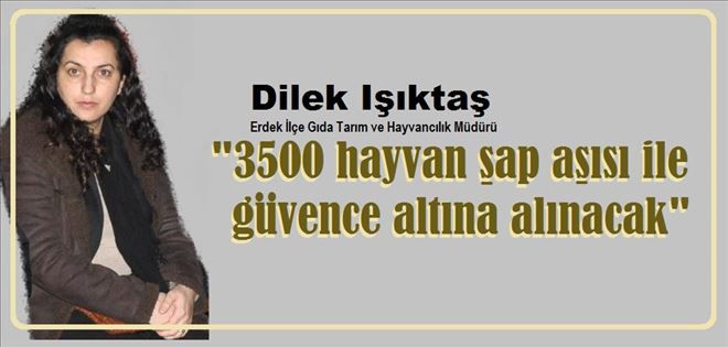 Erdek´te 3500 hayvana şap aşısı