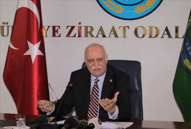 -Çözüm: Köy bazlı buzağı bakım evleri-