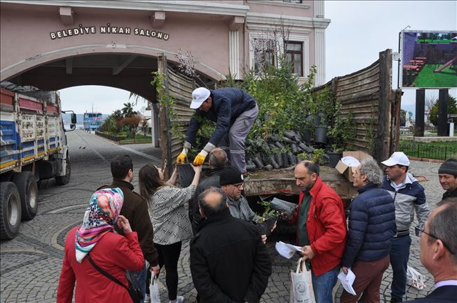 Ücretsiz fidanlar kapışıldı.