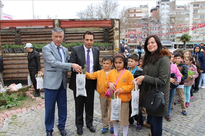 Zeytin ağaçları 98 yıllığına kırsal mahallenin oldu