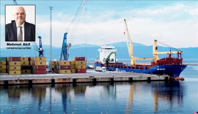 Limanda büyük canlılık