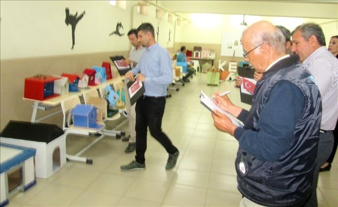 Sokak hayvanları için yuva projesi