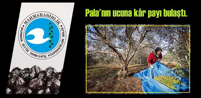 Marmarabirlik´te kar payı dağıtımı başlıyor