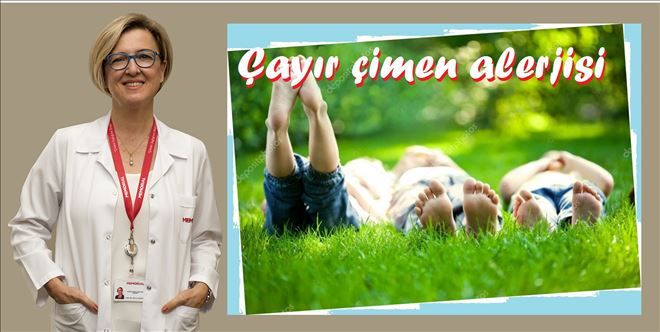 ÇAYIR ÇİMEN ALERJİSİ ASTIMA NEDEN OLMASIN