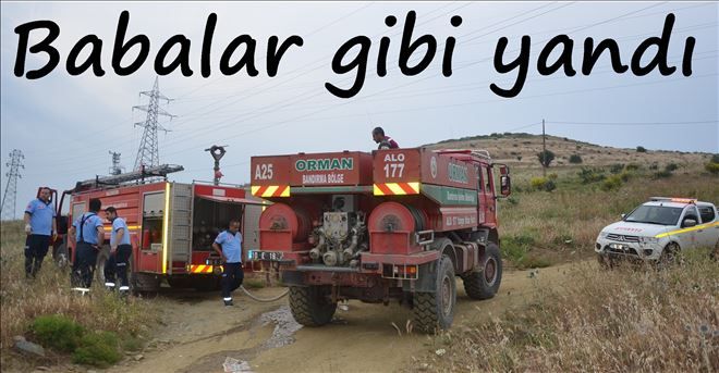 Baba bayır yangın sezonunu açtı.