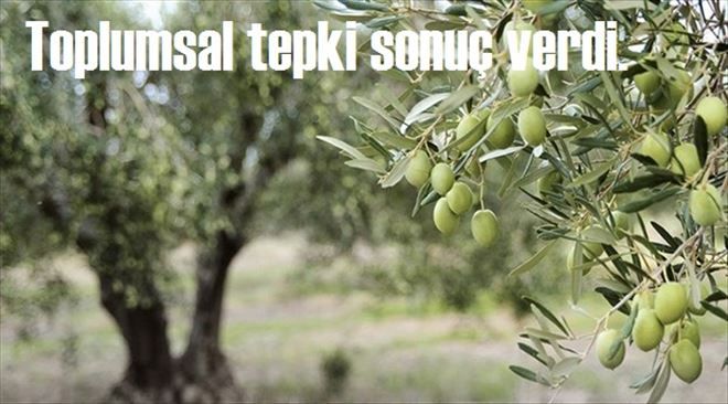 Zeytinlik tasarısı komisyona geri çekildi.