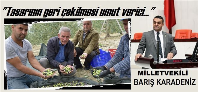 Çevreci Karadeniz, kararı olumlu buldu.