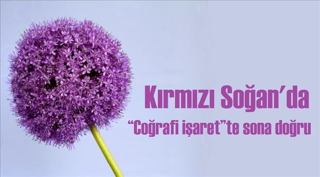 Kırmızı Soğan´ın geleceği bu projede