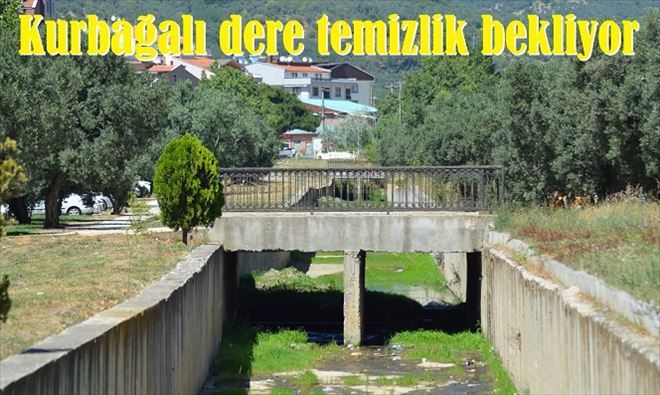 Baski temizlemeyi unuttu mu?