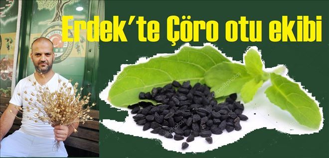 Çöro oto,alternatif ürünler içine alındı