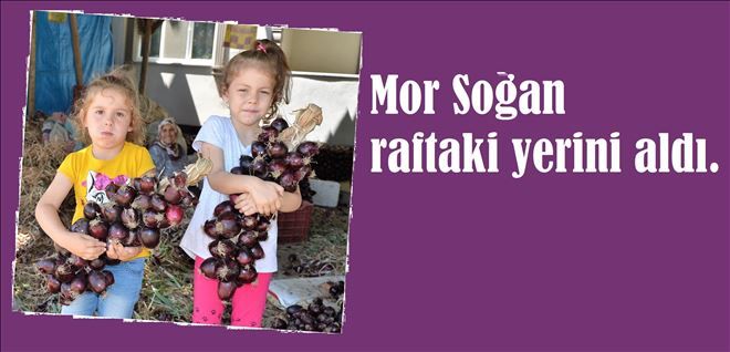 ?Mor soğan? ürün kataloğunda