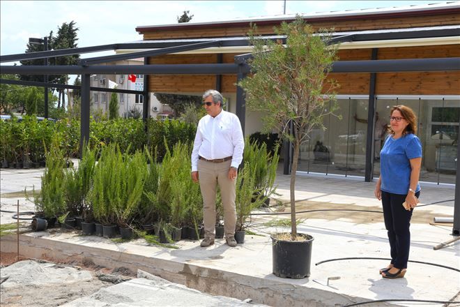 BALCI ÇAMLIĞINDA KAFETERYA VE TUVALETLERDE SONA DOĞRU