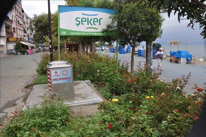 Yağmur, can suyu gibi geldi