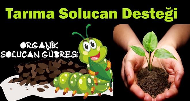 Tarıma Solucan Desteği