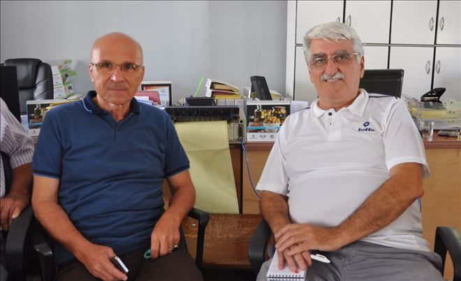Yüksek zeytin rekoltesi bekleniyor