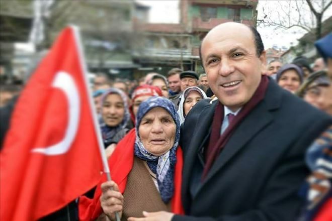 Ok, teşkilatlarda