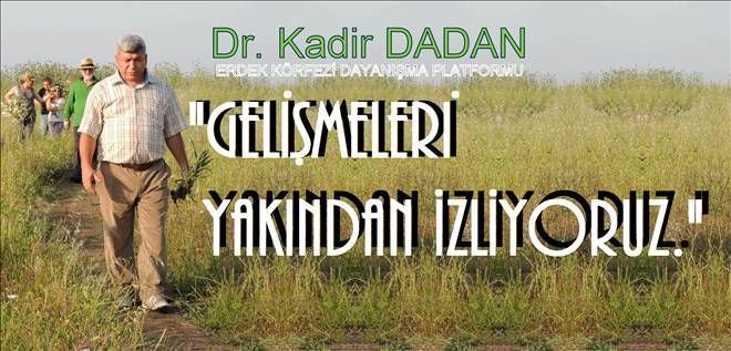 Dr. Dadan´ın tepkisi