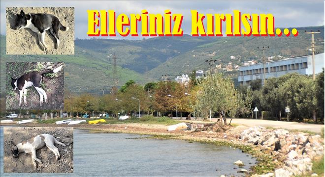 Kemerönünde katliam