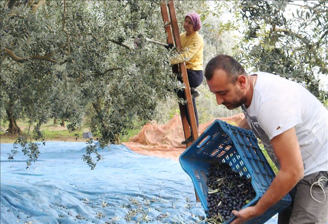 ?Üretici zarar ederse sektör batar?