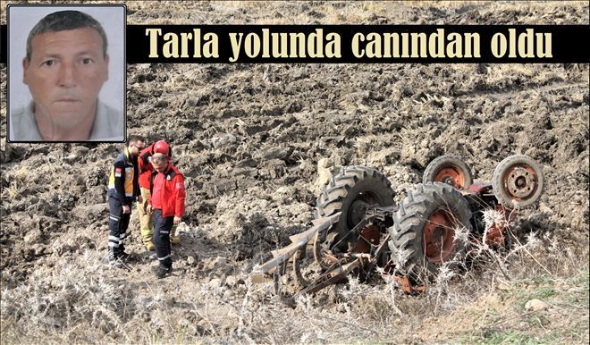 Tarla yolunda can pazarı