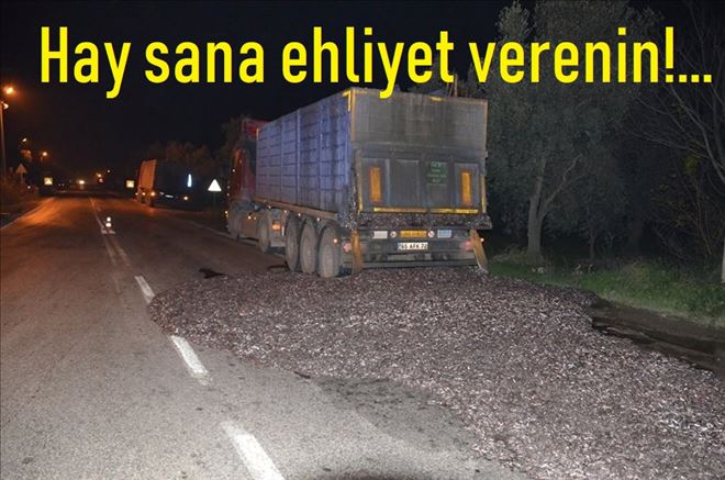 Kapak açıldı, Hamsiler yola saçıldı