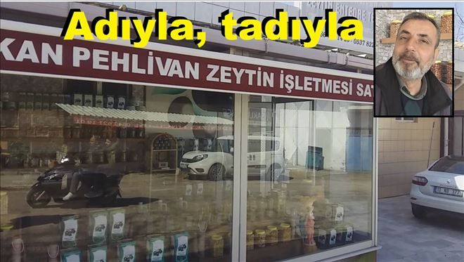 Edincik, Zeytin ve Zeytinyağları