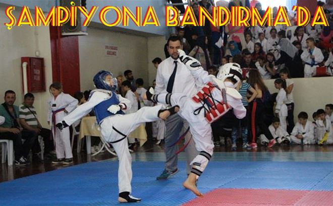 ?Bandırma Kaymakamlığı 2. İller Arası Taekwondo Şampiyonası?