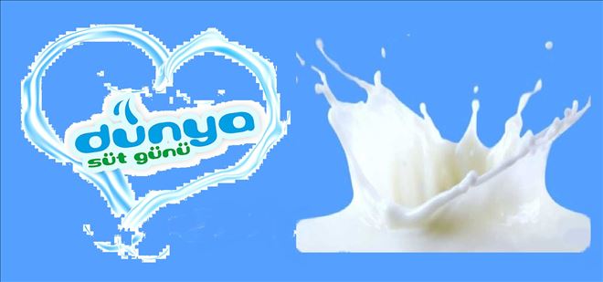 ?Dünya Süt Günü?