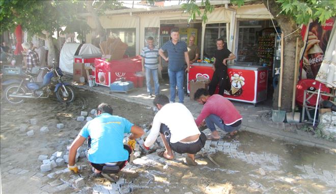 Erdek köyleri yaza hazırlanıyor