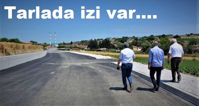 Doğa & Aksakal´ı birleştiren yol