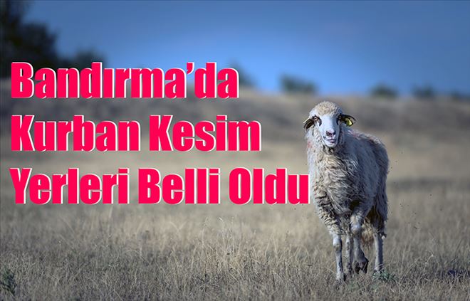 Kurban yerleri belirlendi