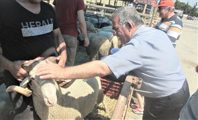Satıcılar ve vatandaşlar arasında