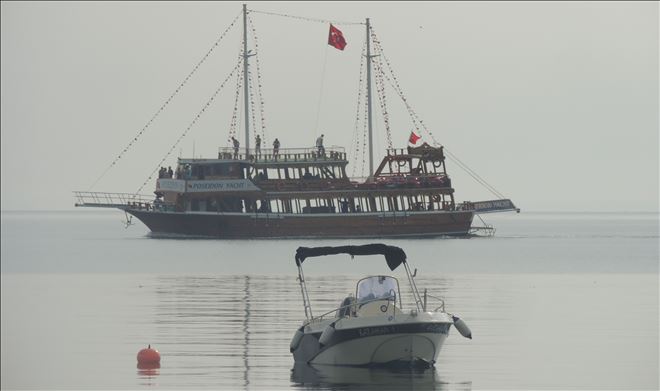 Gezi yatından sokak hayvanlarına destek