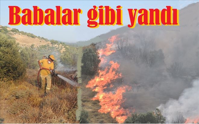 Tatilciler merakla izledi