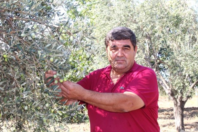 Rekolte beyanname alımı başladı