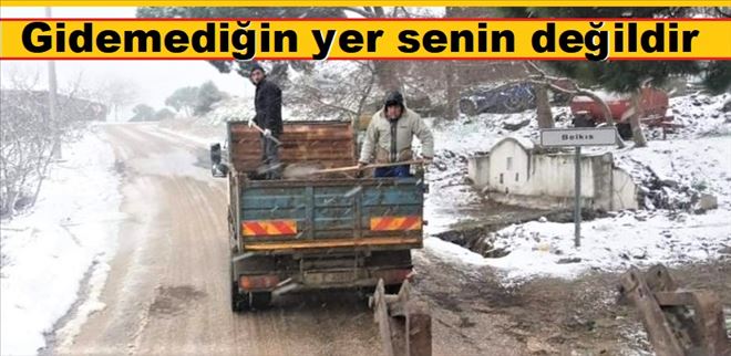 Sarı´dan başka Ne arayan, Ne soran var!...