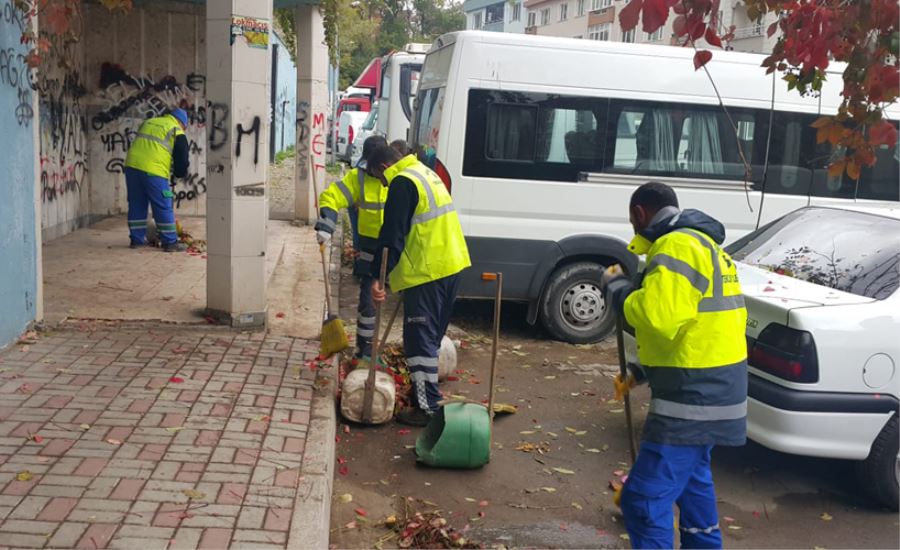 sonbahar temizliği 