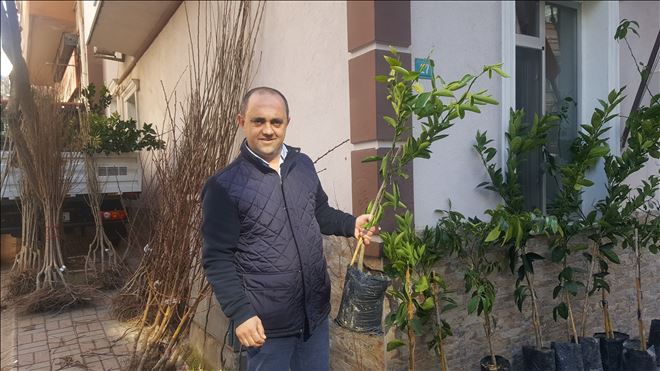 Oda´dan fidan desteği