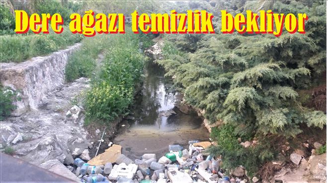 Bahar gelmiş memleketin sahillerine