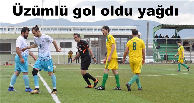 Üzümlüspor 8-2 Havutçaspor