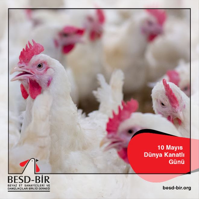 ?Açlığın olmadığı bir dünya?