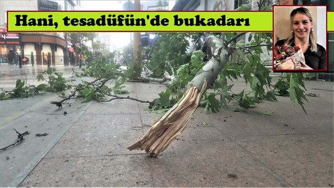 Fırtına´dan kopan dal başına düştü