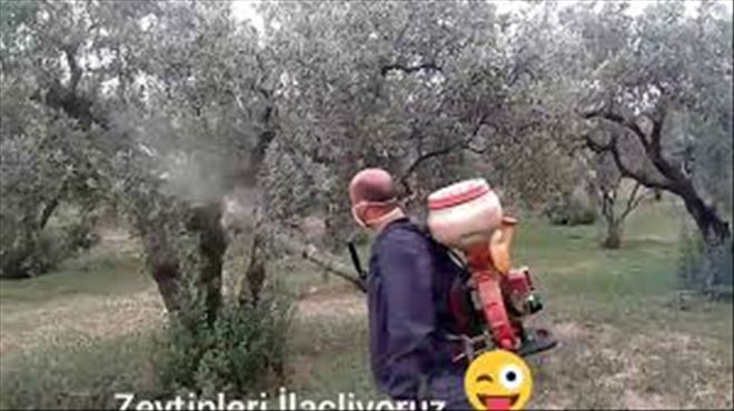 Zeytin Güve sinde Mücadele Süreci başladı