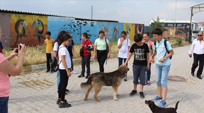 Çocuklarınıza hayvan sevgisi aşılayın