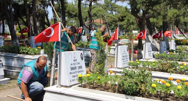 Şehitlik temizlendi