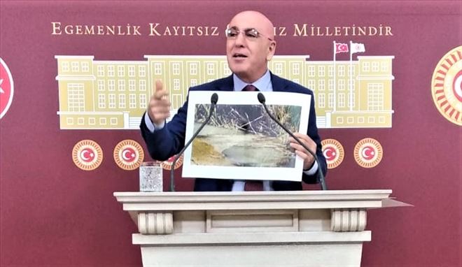 Millet Vicdanı Ayağa Kalktı.