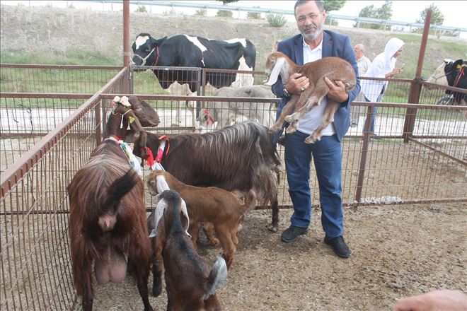 Dereceye girdiler ödül yem´i kaptılar          