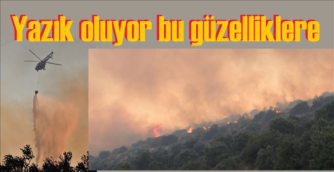 Kapıdağ´da, 2 yerde orman yangını