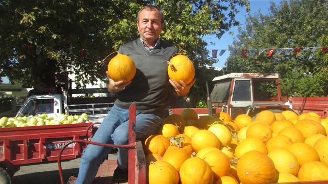 Kavun oradan alınır