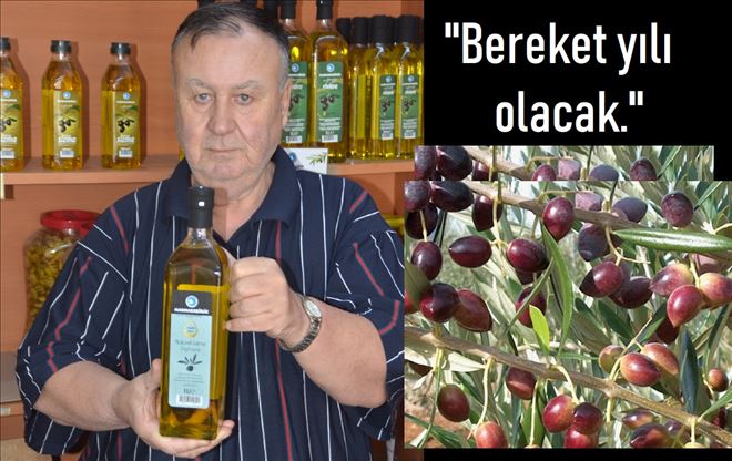 Zeytin yüzleri güldürecek